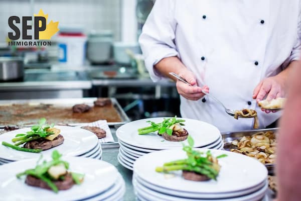 شغلهای پردرآمد بدون تحصیل