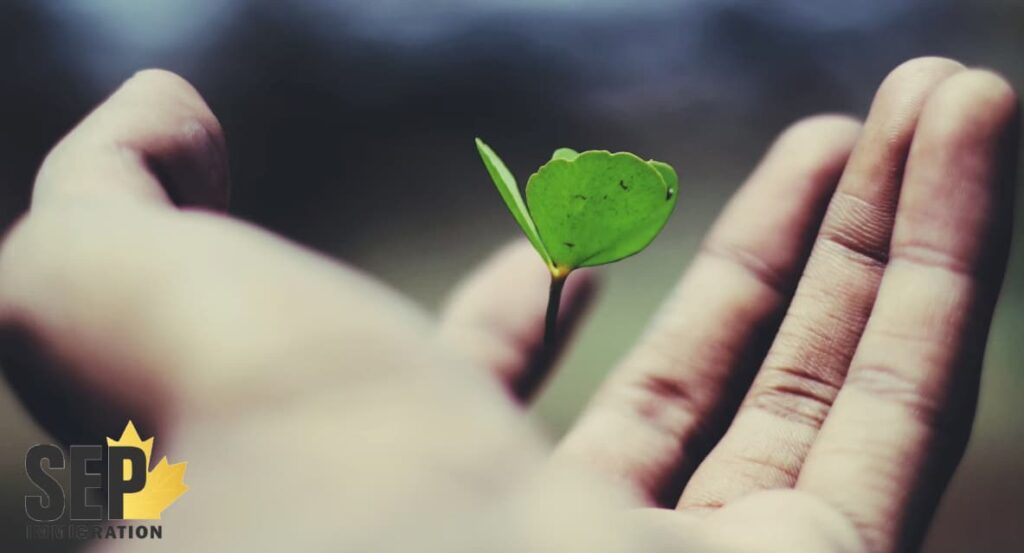 انواع بیمه عمر در کانادا