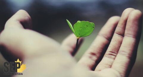 انواع بیمه عمر در کانادا