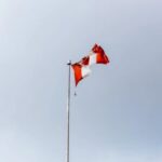 دانشگاه‌ها و کالج‌های تورنتو