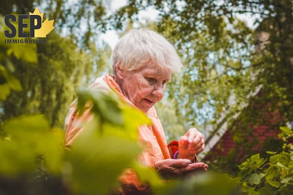 طرح های بازنشستگی در کانادا