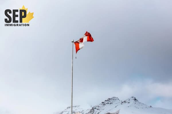 کیس پناهندگی چیست