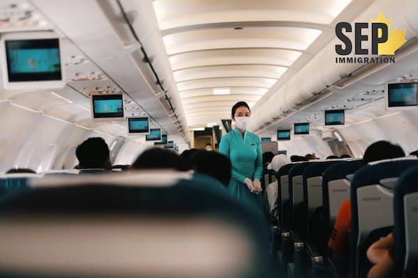 مهماندار هواپیما 