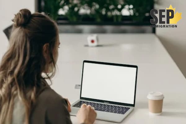 تحلیلگران و مشاوران سیستم‌های اطلاعاتی