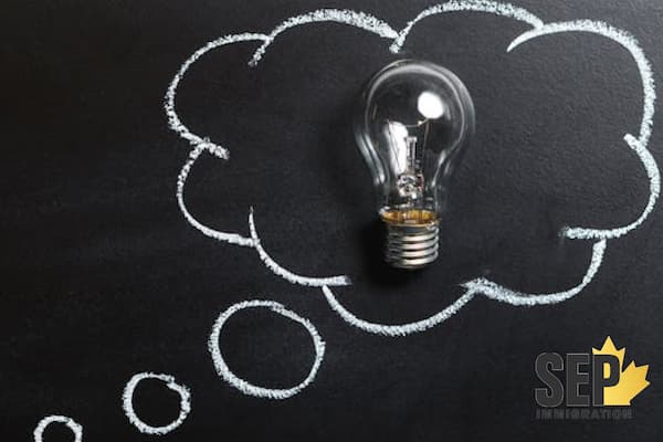 کلاهبرداری استارتاپ