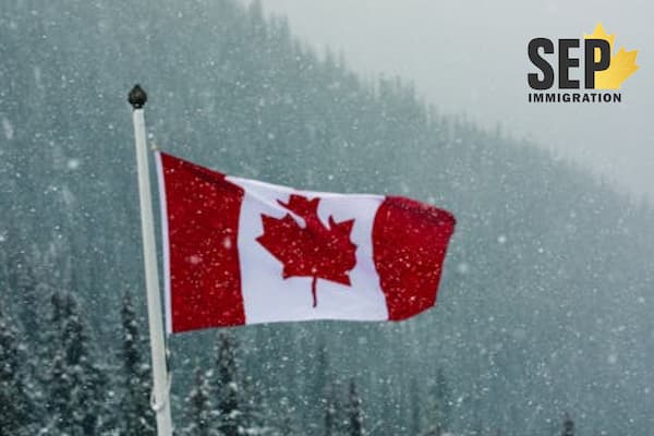 محاسبه آنلاین امتیاز سوابق کاری