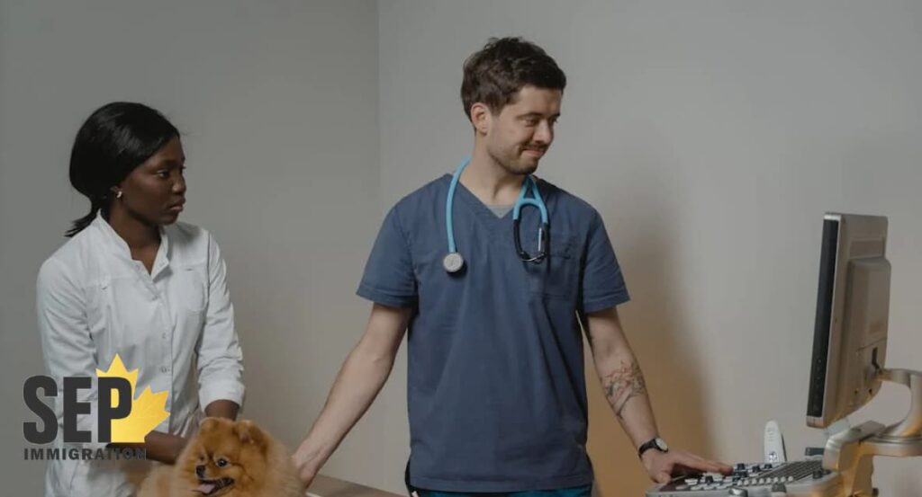 آشنایی با بازار کار شغل دامپزشکی در کانادا