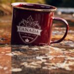 کاهش صدور ویزا‌های اقامت موقت کانادا