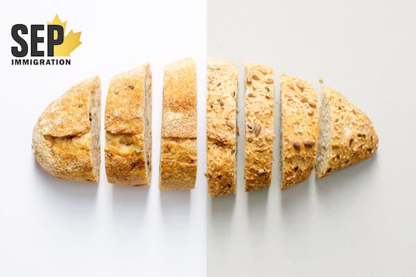 چه شرایطی برای استخدام نانوایان در کانادا وجود دارد