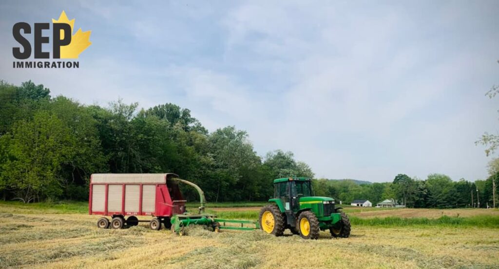 چگونه وارد بازار کار متخصص کشاورزی در کانادا شویم؟