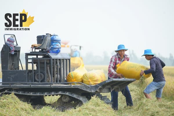 چطور می‌توان برای زندگی و کار به‌عنوان مشاور یا متخصص کشاورزی به کانادا مهاجرت کرد؟