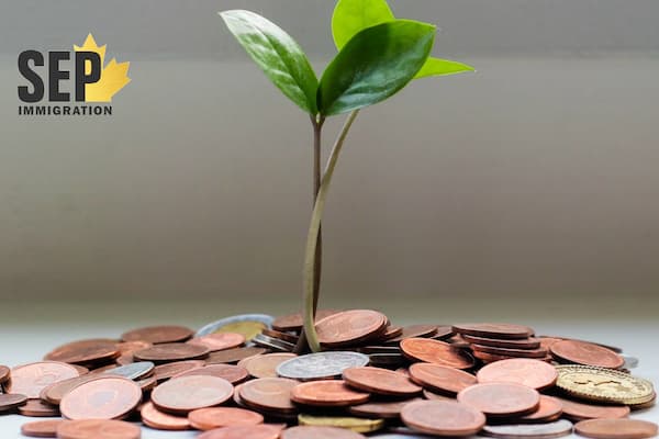 برای مهاجرت به کانادا باید چقدر هزینه کرد؟