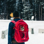 لغو صدور ویزای توریستی کانادا حقیقت دارد؟