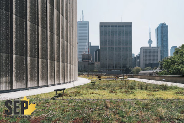 اقتصاد پایدار و بازار کار گسترده