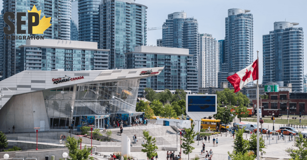 آرم سپ ایمیگریشن (SEP Immigration) با پس زمینه آسمان خراش‌ها و بارش برف.