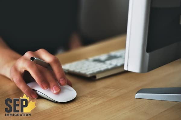 برنامه بین‌المللی (IMP) چیست؟