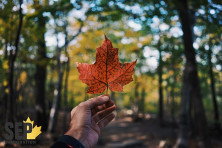 تحلیل قرعه‌کشی و نکات کلیدی برای متقاضیان