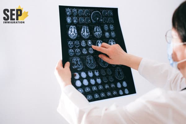 نکات مهم برای تازه‌واردان