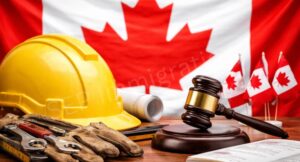 اولین Draw در دسته مشاغل فنی (Trades)